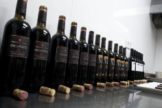 vinos Marqués de Cáceres