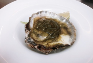 Ostra con Escabeche de Cítricos y Plancton